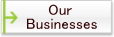 Our Businesses